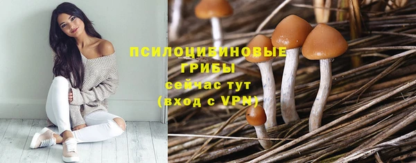 jwh Новодвинск