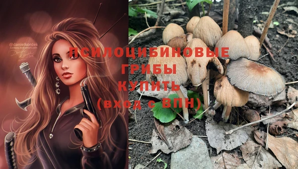 jwh Новодвинск