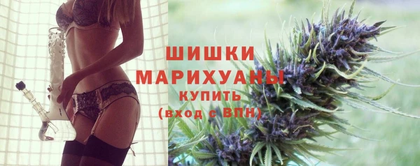 индика Бикин