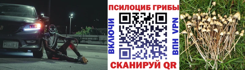 Галлюциногенные грибы Cubensis  Саров 
