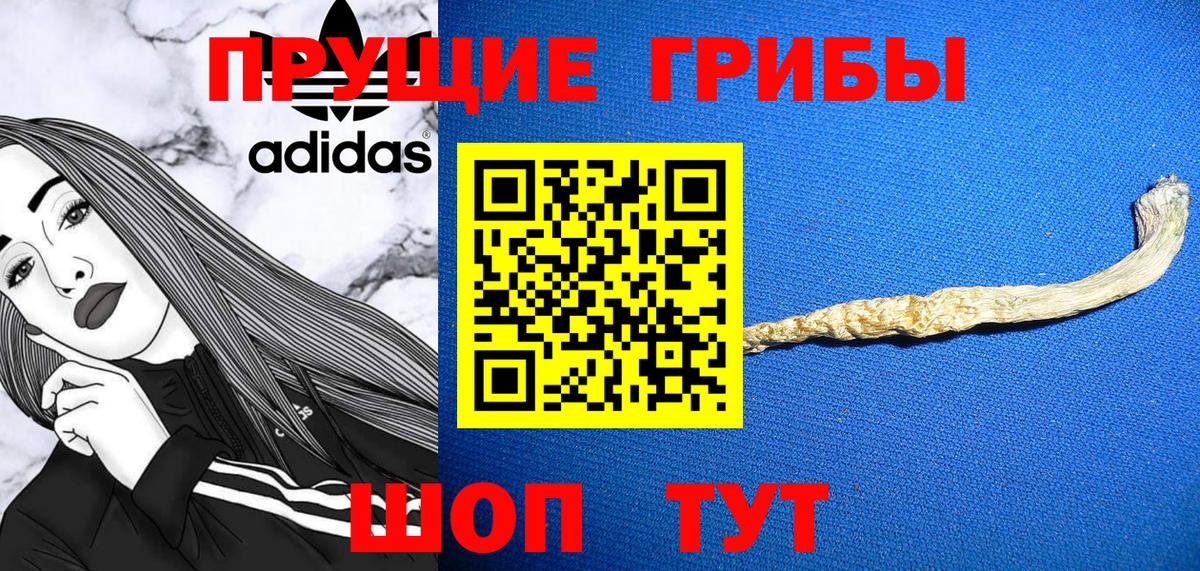 Галлюциногенные грибы прущие грибы Саров