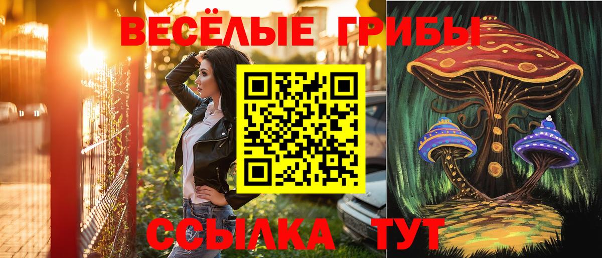 Галлюциногенные грибы Саров