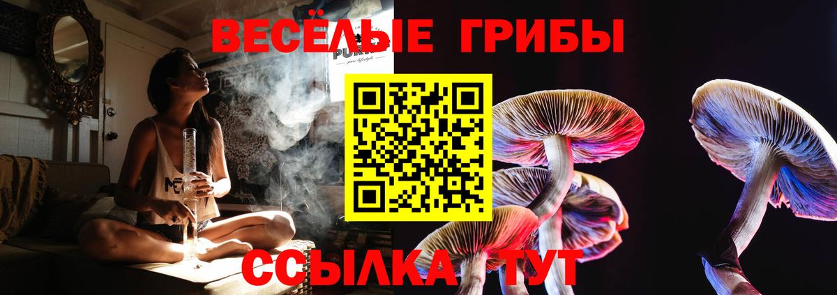 Саров  Галлюциногенные грибы мицелий  Вход с VPN 