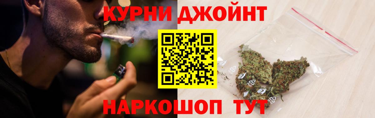 Конопля конопля Саров